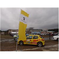 Peugeot Meeting16-03.JPG